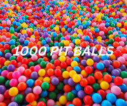 1000 Plastic Pit Balls