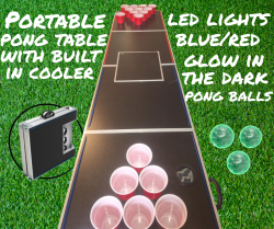 Portable Pong Table Yard Games