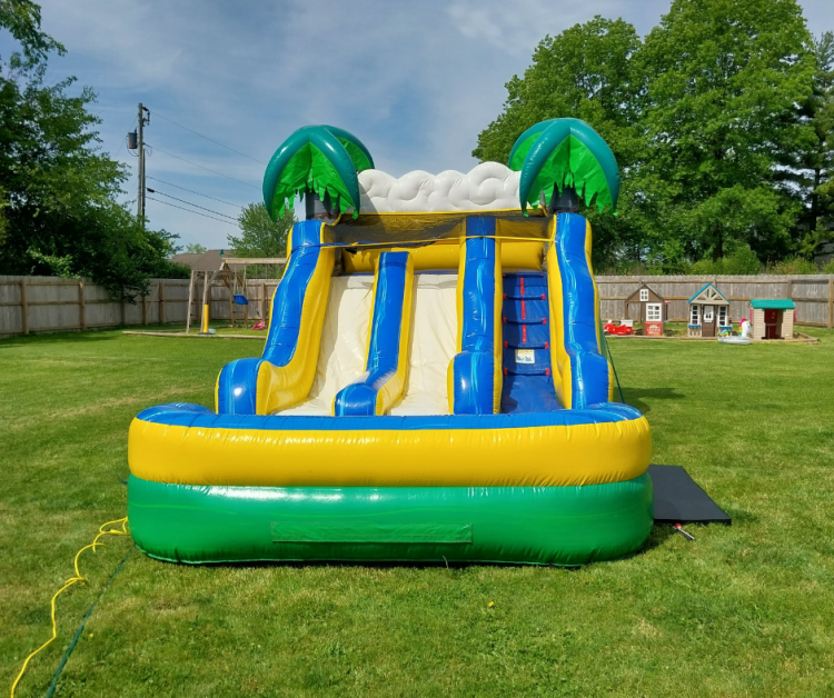 tropical20new 1775367760 big Home